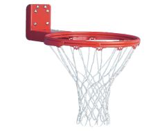 Gared Rear Mount Double Rim Goal