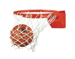 Bison Elite Competition Basketball Goal