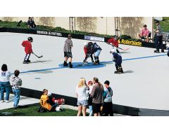 Official Size Border Patrol Rink System