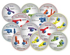 Exercise Ball HotSpots