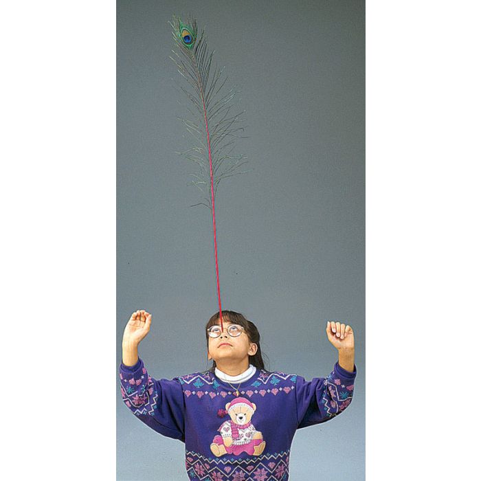 Excellent for teaching balance and the "looking up" skills required in juggling.