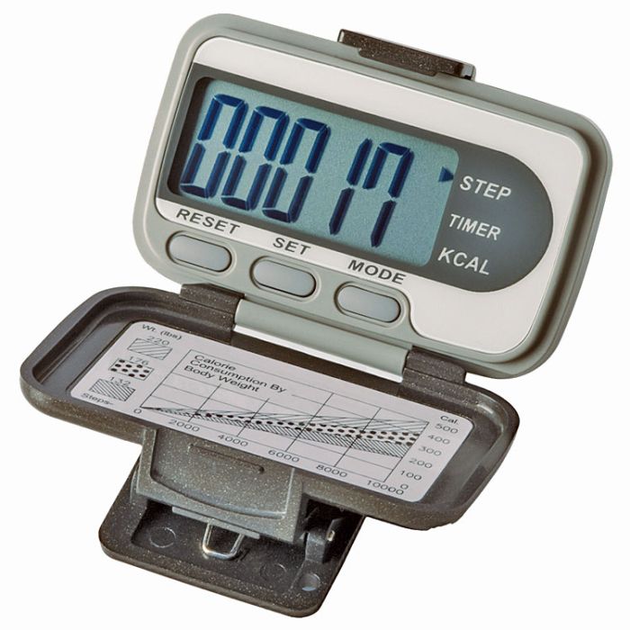 Ekho "THREE" Pedometer