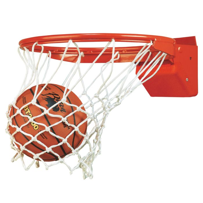 Bison Elite Competition Basketball Goal
