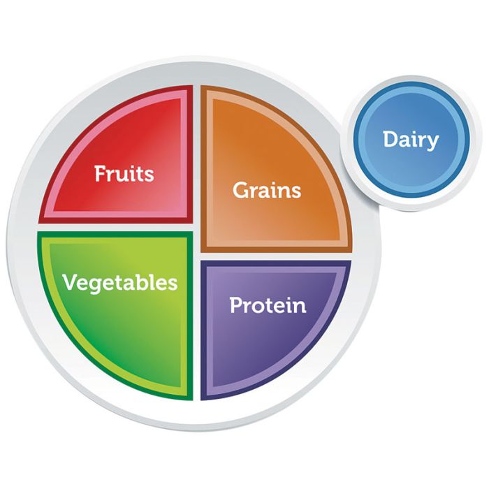 MyPlate Plastic Plate