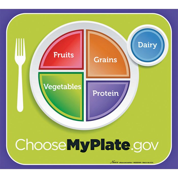 MyPlate laminated Poster