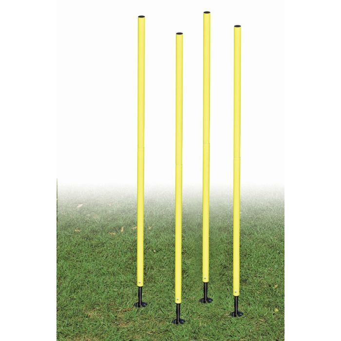Agility Pole Set