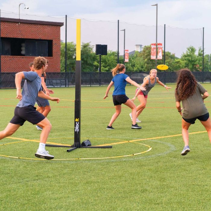 Disc It Tossing Game