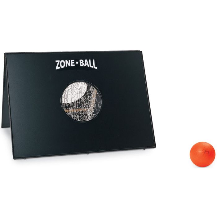 Zoneball Goal and Ball Set