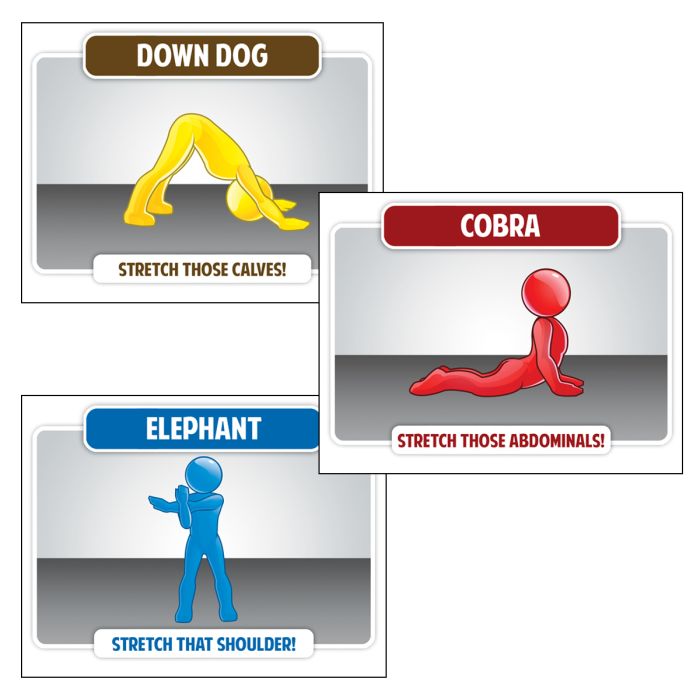 Stretch Station Fitness Cards