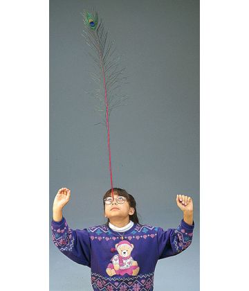 Excellent for teaching balance and the "looking up" skills required in juggling.