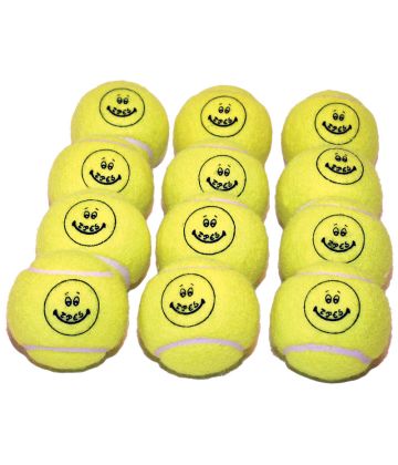 Pressureless Tennis Balls (Dozen)