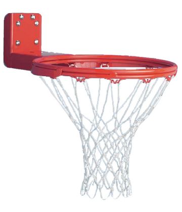 Gared Rear Mount Double Rim Goal