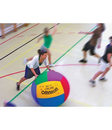 Omnikin 33" Multicolor KIN-BALL�� Ball w/ a Bladder