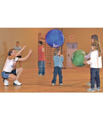 OMNIKIN�� SIX Ball