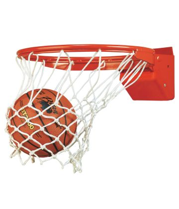 Bison Elite Competition Basketball Goal