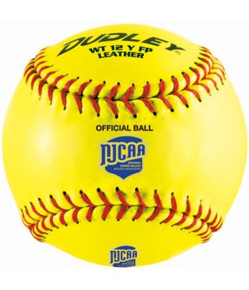 Dudley WT12YFP Thunder Leather NJCAA case of 72 .47/350 Softballs