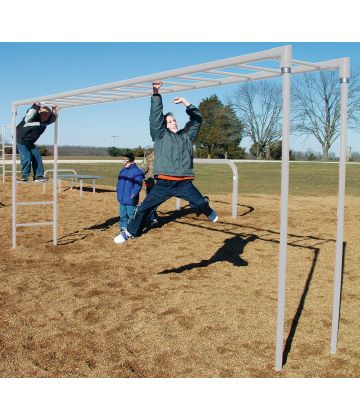 Horizontal Ladder (galvanized)