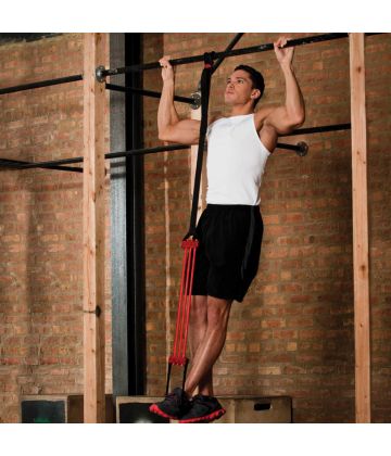 Lifeline Pullup Revolution Plus