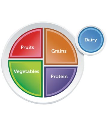 MyPlate Plastic Plate