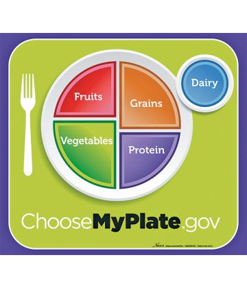 MyPlate laminated Poster