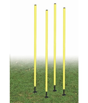 Agility Pole Set