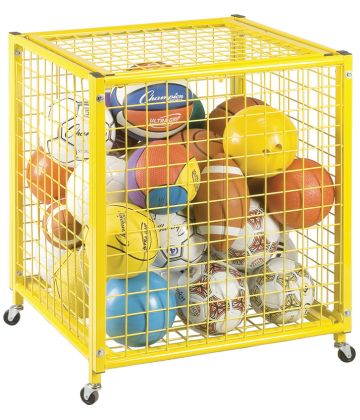 Locking Ball Storage Locker (small)