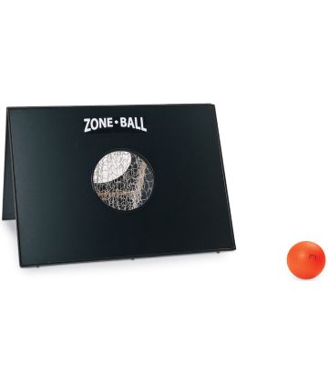 Zoneball Goal and Ball Set