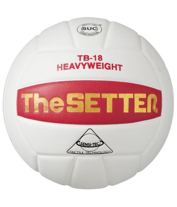 Tachikara - "The Setter" Heavy Training Volleyball